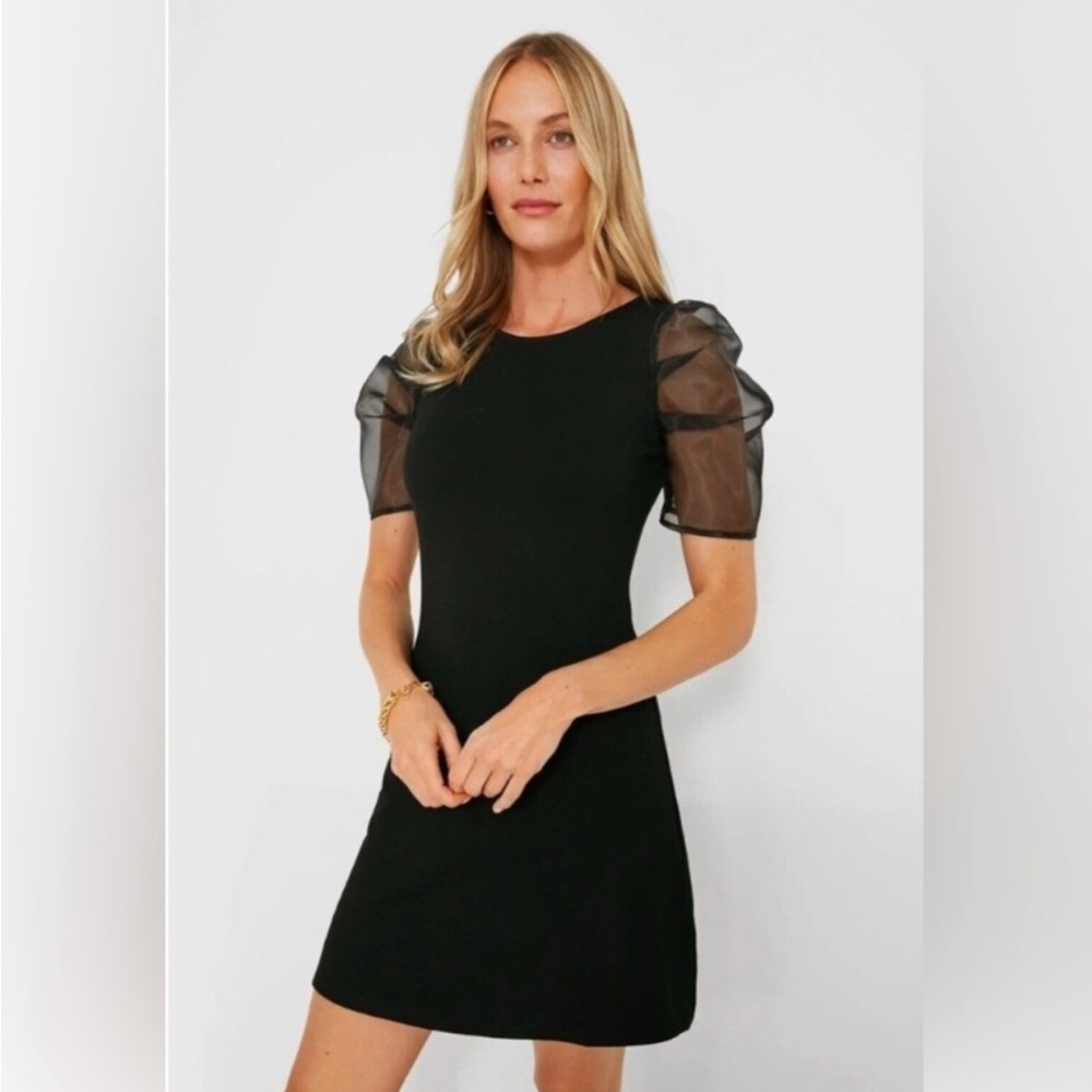 HYACINTH HOUSE
Black Tulle Sleeve Darby Dress